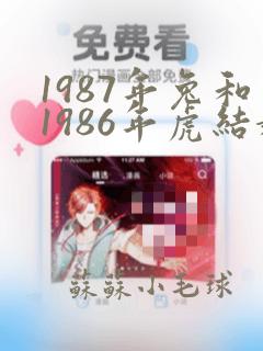 1987年兔和1986年虎结婚好吗