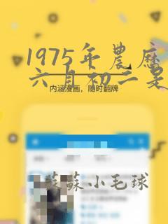 1975年农历六月初二是什么命