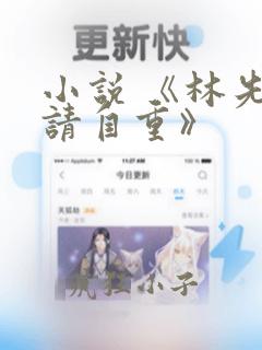 小说 《林先生请自重》