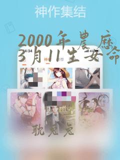 2000年农历3月11生女命运