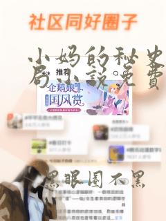 小妈的秘史大结局小说免费阅读全文