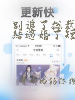 别追了总裁我们结过婚了短剧免费观看