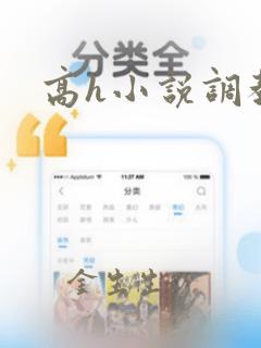 高h小说调教文