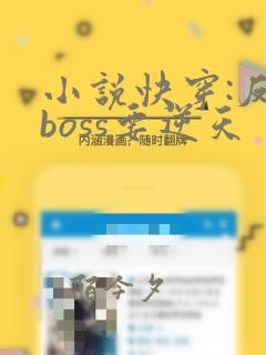 小说快穿:反派boss要逆天