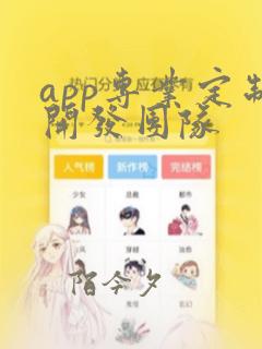 app专业定制开发团队