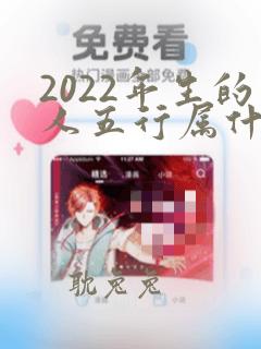 2022年生的人五行属什么