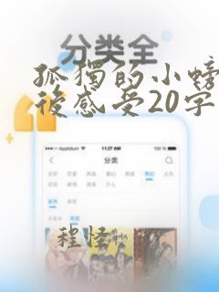 孤独的小螃蟹读后感受20字