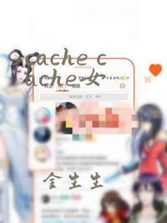 cache cache女