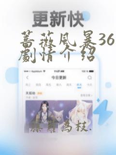 蔷薇风暴36集剧情介绍