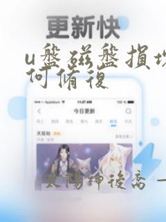 u盘磁盘损坏如何修复