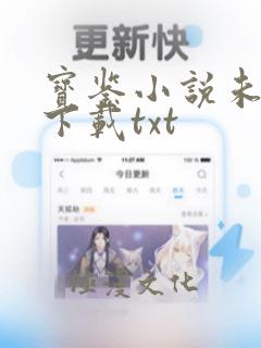 宝鉴小说未删版下载txt