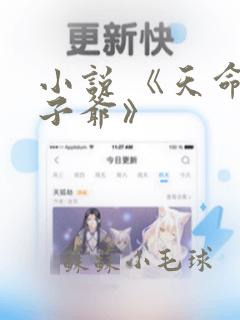 小说 《天命太子爷》