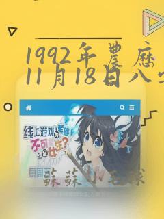 1992年农历11月18日八字命