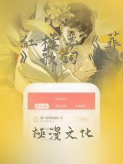 红楼梦《葬花吟》歌词