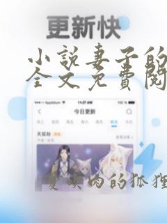 小说妻子的秘密全文免费阅读全文