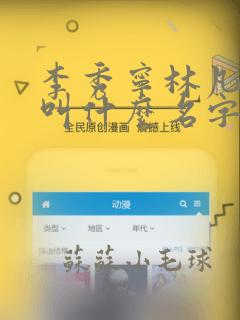 李秀宁林凡小说叫什么名字