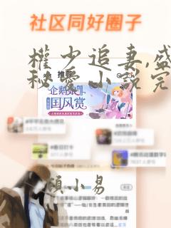 权少追妻,盛婚秘爱小说完整版