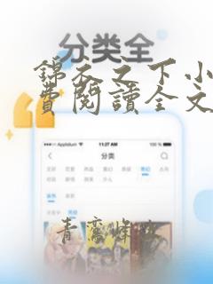 锦衣之下小说免费阅读全文无删减