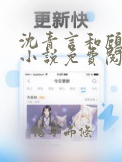 沈青言和顾西岑小说免费阅读