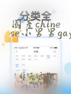 国产chinese小男男gaygay网站