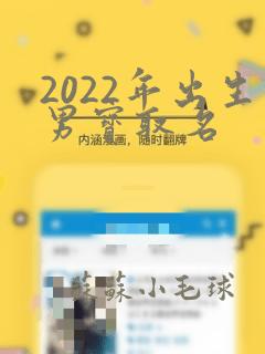 2022年出生男宝取名