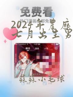 2024年农历七月出生男孩取名