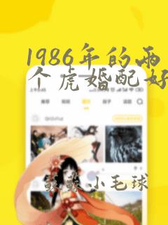 1986年的两个虎婚配好不好