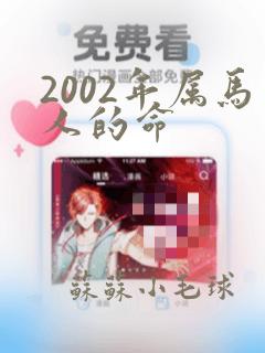 2002年属马人的命