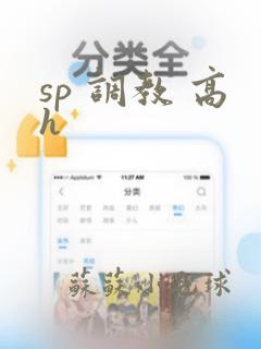 sp 调教 高h