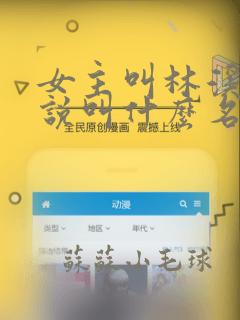 女主叫林溪的小说叫什么名字