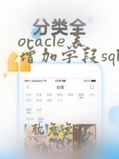 oracle表增加字段sql