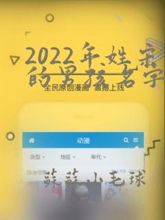 2022年姓宋的男孩名字