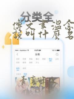 傅文聿温念希小说叫什么名字