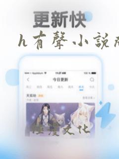 h有声小说成人