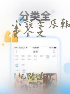 小说李辰韩玥免费全文