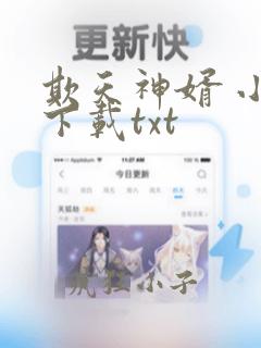 欺天神婿 小说下载txt