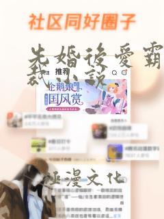 先婚后爱霸道总裁小说