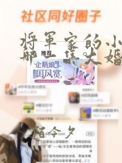 将军家的小娘子哪一集大婚