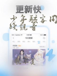 少年骇客同人在线观看