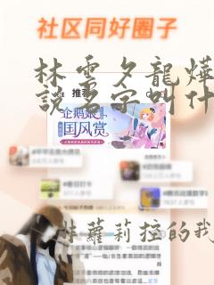 林云夕龙烨天小说名字叫什么