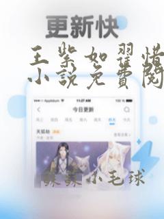 王紫如翟惜墨的小说免费阅读