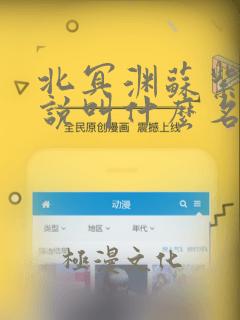 北冥渊苏紫宸小说叫什么名字