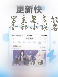 男主是多尔衮的全部小说名