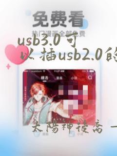 usb3.0可以插usb2.0的吗