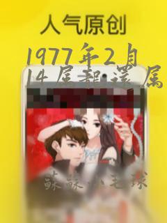 1977年2月14属龙还属蛇