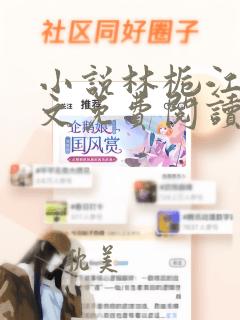 小说林栀江呈全文免费阅读