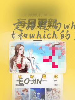 定语从句what和which的区别例句