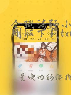 全职法师小说未删版下载txt