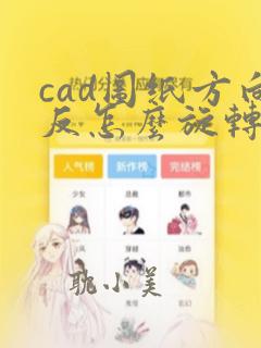 cad图纸方向反怎么旋转回来