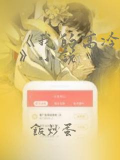 《我的高冷女神》小说